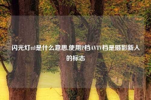 闪光灯ttl是什么意思,使用P档AVTV档是摄影新人的标志