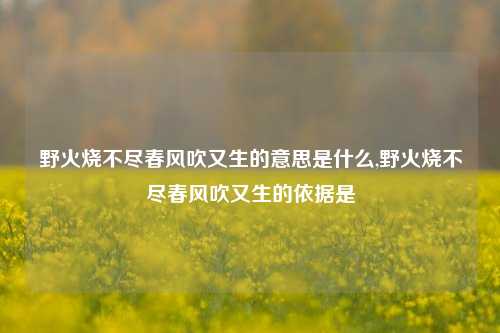 野火烧不尽春风吹又生的意思是什么,野火烧不尽春风吹又生的依据是