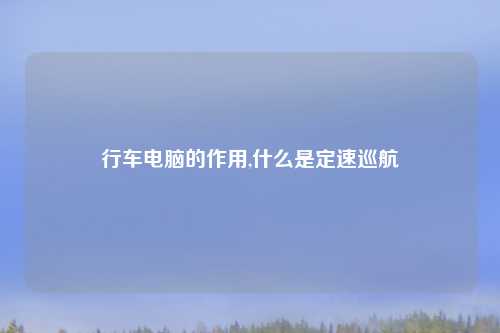 行车电脑的作用,什么是定速巡航