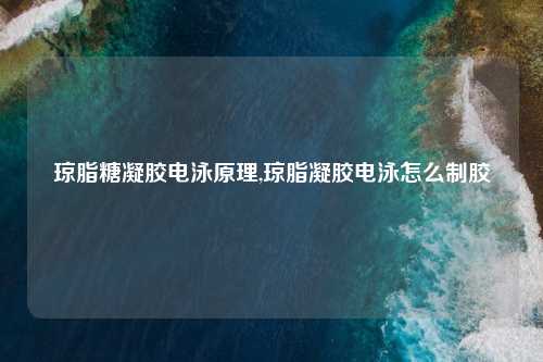 琼脂糖凝胶电泳原理,琼脂凝胶电泳怎么制胶