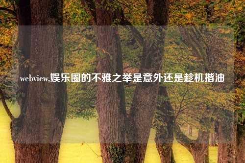 webview,娱乐圈的不雅之举是意外还是趁机揩油