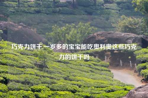 巧克力饼干,一岁多的宝宝能吃奥利奥这些巧克力的饼干吗