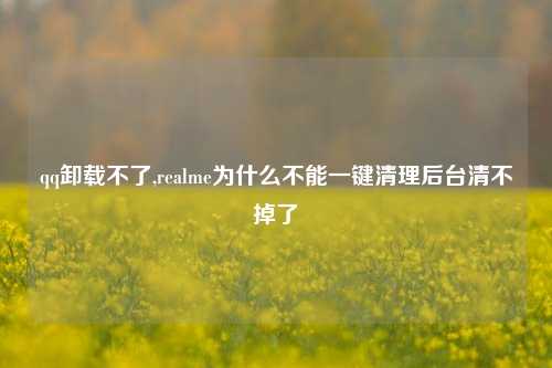 qq卸载不了,realme为什么不能一键清理后台清不掉了