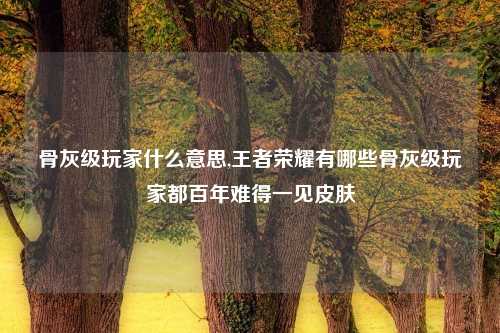 骨灰级玩家什么意思,王者荣耀有哪些骨灰级玩家都百年难得一见皮肤