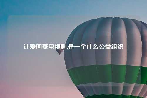 让爱回家电视剧,是一个什么公益组织