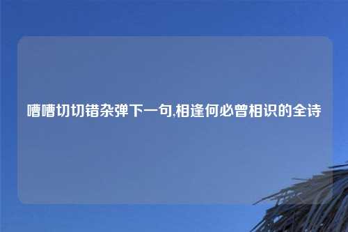 嘈嘈切切错杂弹下一句,相逢何必曾相识的全诗