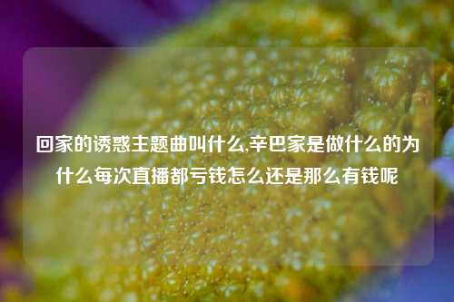 回家的诱惑主题曲叫什么,辛巴家是做什么的为什么每次直播都亏钱怎么还是那么有钱呢