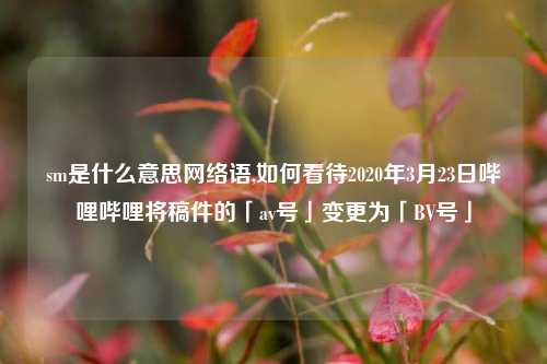sm是什么意思网络语,如何看待2020年3月23日哔哩哔哩将稿件的「av号」变更为「BV号」
