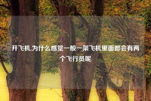 开飞机,为什么感觉一般一架飞机里面都会有两个飞行员呢
