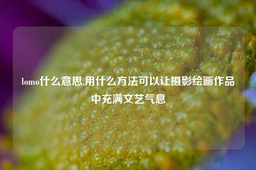 lomo什么意思,用什么方法可以让摄影绘画作品中充满文艺气息