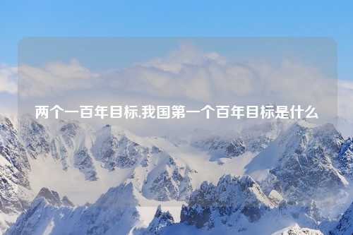 两个一百年目标,我国第一个百年目标是什么