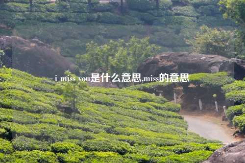 i miss you是什么意思,miss的意思