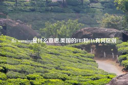 fbi warning是什么意思,美国的FBI和CIA有何区别