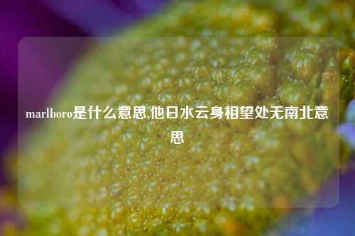 marlboro是什么意思,他日水云身相望处无南北意思