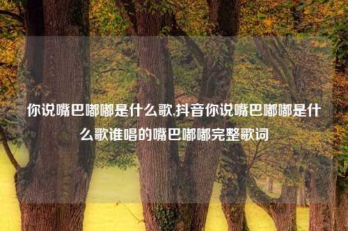 你说嘴巴嘟嘟是什么歌,抖音你说嘴巴嘟嘟是什么歌谁唱的嘴巴嘟嘟完整歌词