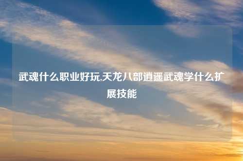 武魂什么职业好玩,天龙八部逍遥武魂学什么扩展技能