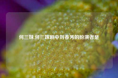 何三妹,何三妹剧中刘春芳的扮演者是