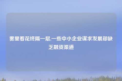 雾里看花终隔一层,一些中小企业谋求发展却缺乏融资渠道