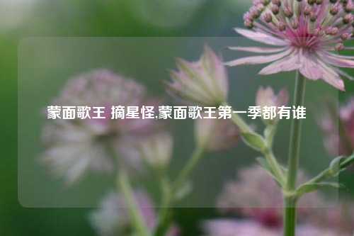 蒙面歌王 摘星怪,蒙面歌王第一季都有谁