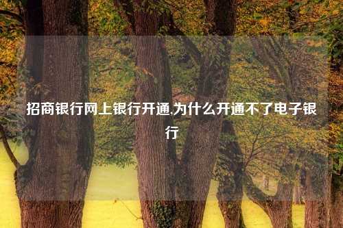 招商银行网上银行开通,为什么开通不了电子银行