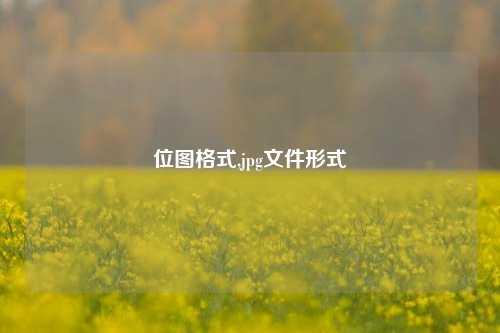 位图格式,jpg文件形式