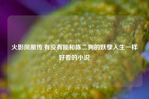 火影凤凰传,有没有能和陈二狗的妖孽人生一样好看的小说
