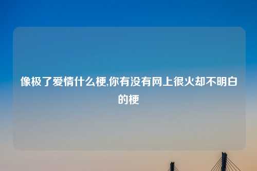 像极了爱情什么梗,你有没有网上很火却不明白的梗