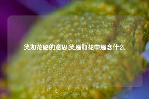 笑如花靥的意思,笑靥如花中靥念什么