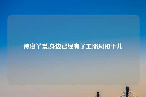 侍寝丫鬟,身边已经有了王熙凤和平儿