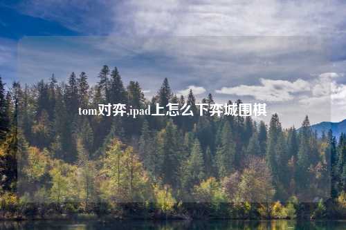 tom对弈,ipad上怎么下弈城围棋