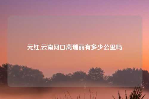 元红,云南河口离瑞丽有多少公里吗