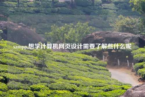 xampp,想学计算机网页设计需要了解些什么呢