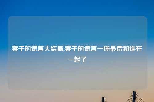 妻子的谎言大结局,妻子的谎言一珊最后和谁在一起了