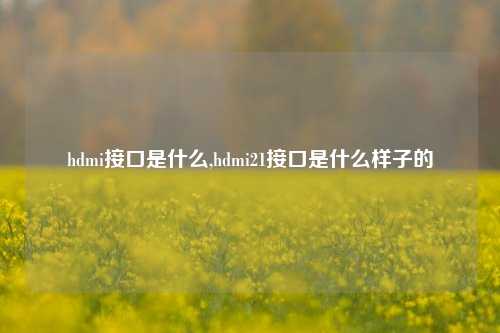 hdmi接口是什么,hdmi21接口是什么样子的