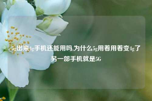 5g出来4g手机还能用吗,为什么5g用着用着变4g了另一部手机就是5G