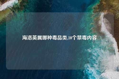 海洛英属哪种毒品类,10个禁毒内容