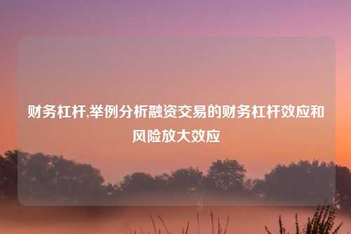 财务杠杆,举例分析融资交易的财务杠杆效应和风险放大效应
