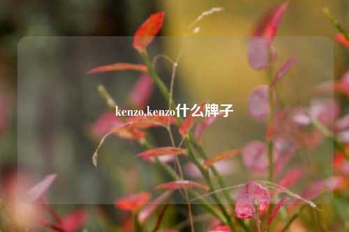 kenzo,kenzo什么牌子