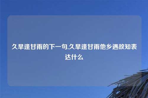 久旱逢甘雨的下一句,久旱逢甘雨他乡遇故知表达什么