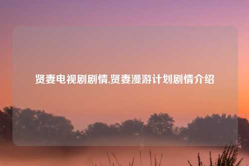 贤妻电视剧剧情,贤妻漫游计划剧情介绍