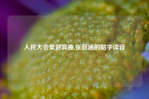 人民大会堂迎宾曲,张韶涵的韶字读音