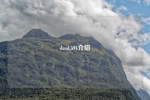 dasd,591介绍