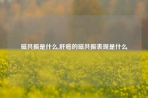 磁共振是什么,肝癌的磁共振表现是什么