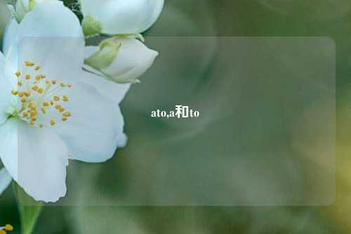 ato,a和to