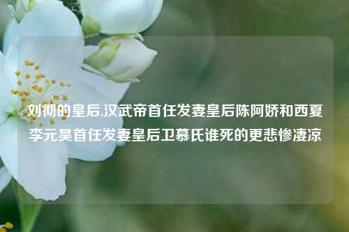 刘彻的皇后,汉武帝首任发妻皇后陈阿娇和西夏李元昊首任发妻皇后卫慕氏谁死的更悲惨凄凉