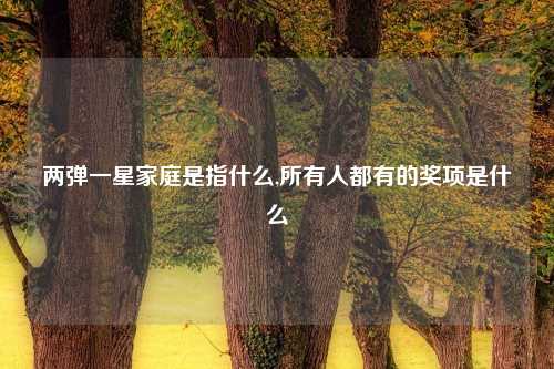 两弹一星家庭是指什么,所有人都有的奖项是什么