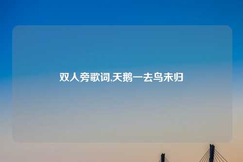 双人旁歌词,天鹅一去鸟未归