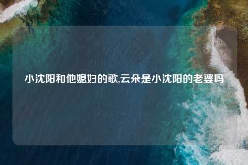 小沈阳和他媳妇的歌,云朵是小沈阳的老婆吗