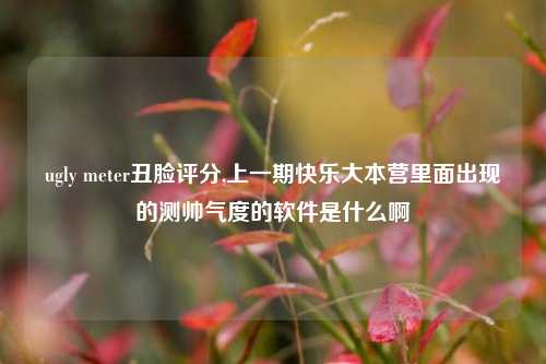 ugly meter丑脸评分,上一期快乐大本营里面出现的测帅气度的软件是什么啊