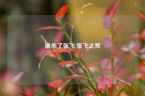 谁杀了张飞,张飞之死